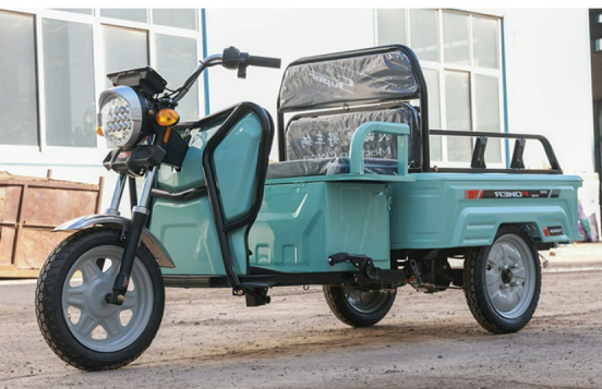 Tricycle Électrique Prince à Plateau - 500W avec Options de Moteur et Couleurs Variées